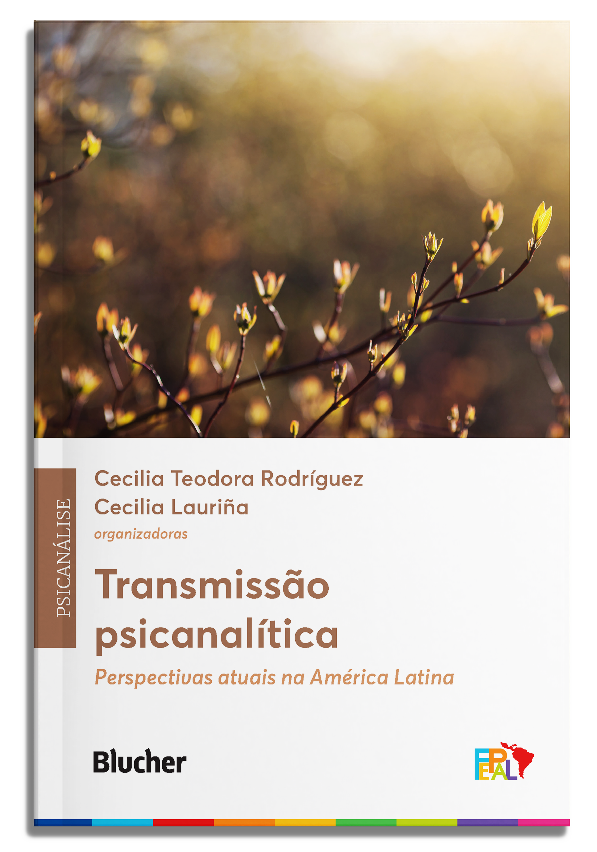 Transmissão psicanalítica